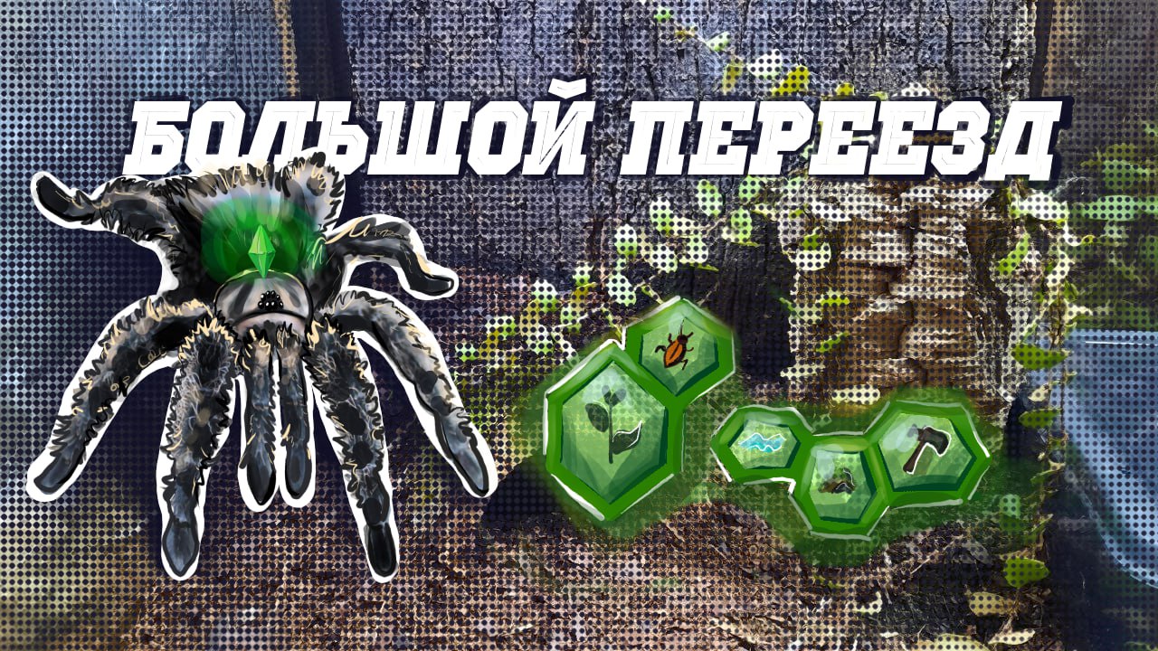 Большой ПЕРЕЕЗД