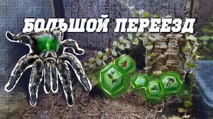 Большой ПЕРЕЕЗД