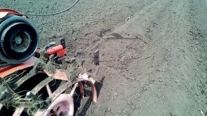 Нарезка борозд под картошку мотоблоком