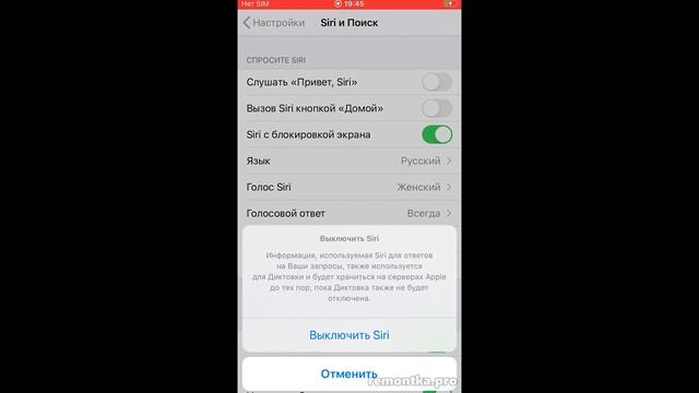 Как отключить Siri на iPhone смотреть онлайн