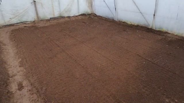 Удобрение редиса 15.12.21г смотреть онлайн