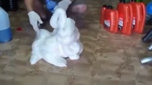 Тосол смешали с антифризом