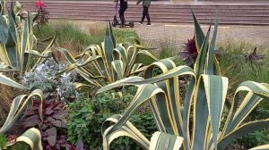 Сочи. Вот такая красота!