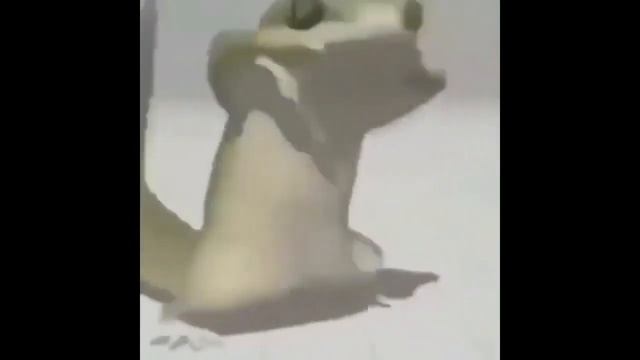 Пацаны кто подскажет как перднуть чтобы не обосраться и без подливы??? смотреть онлайн