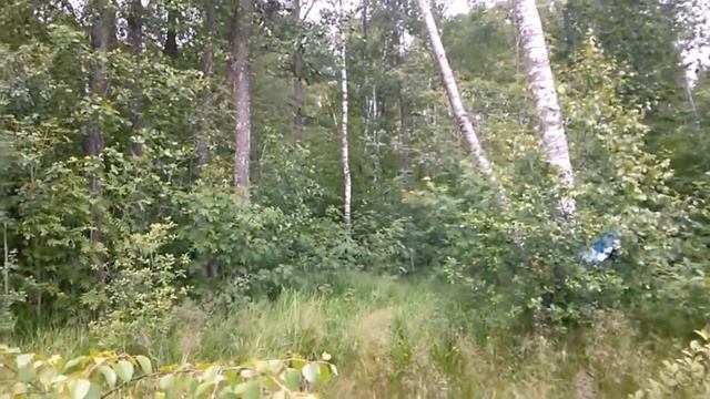 Когда на работе нечего делать смотреть онлайн