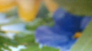 Серьёзный разговор(Любовь, как звёздочка горит,ликует и печалится,приходит - "Здравствуй"(наброски)