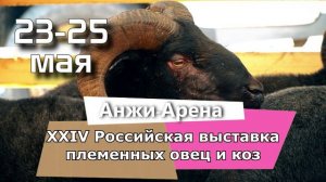 XXIV Российская выставка племенных овец и коз