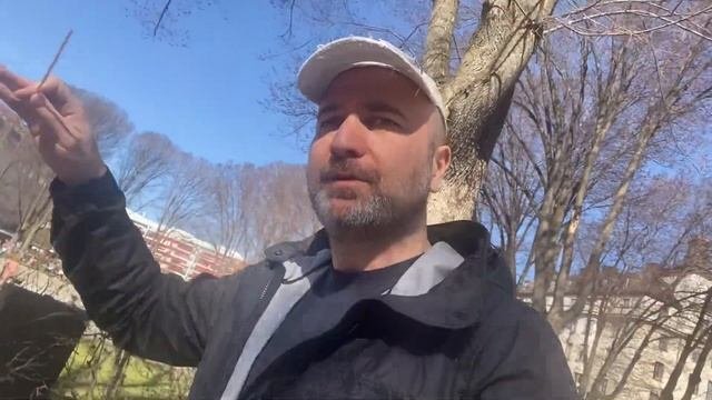 Шведы делают так и здоровы. Путешествие по Швеции
