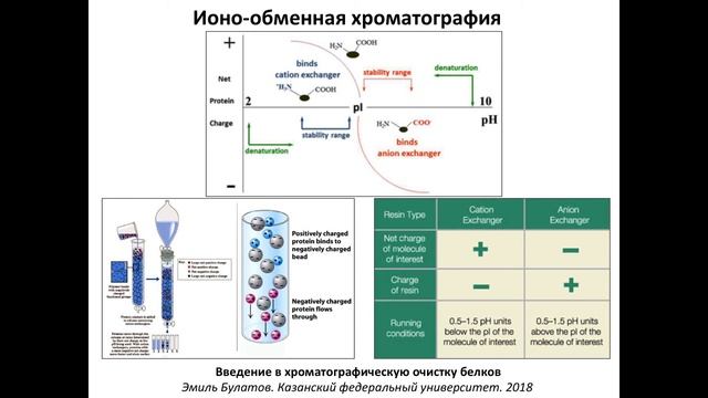 Занятие 6 - Ионо-обменная хроматография смотреть онлайн