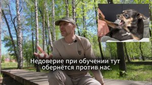 Чего мы хотим от собаки?