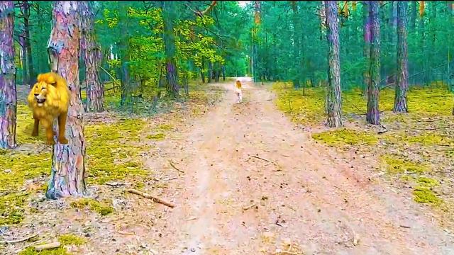 Вероника и мама играют с питомцами и устроили домашний зоопарк 2 смотреть онлайн