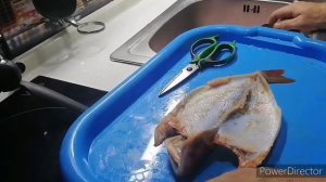 Как сделать чучело из рыбы