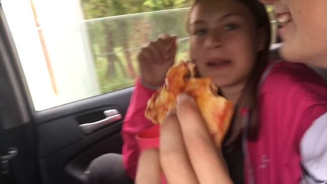 Поездка в Иваново на соревнования по аджилити. Кавалер Кинг Чарльз спаниель Тим. смотреть онлайн