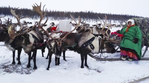 Невероятная судьба | Ясавэй. Кочевник ХХI века. 2 часть