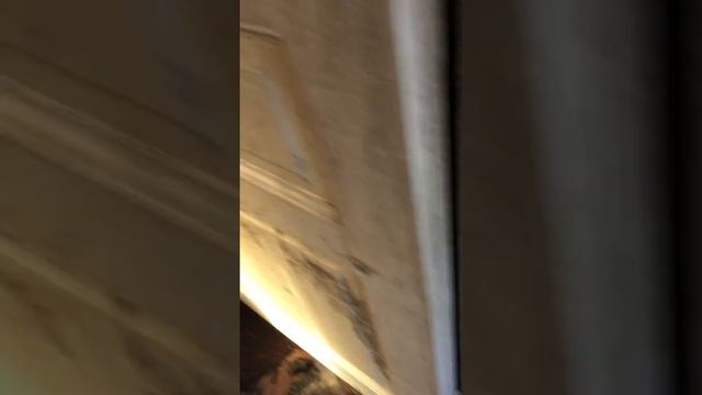 У бабушки на даче сгорел дом 🏡 😔