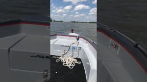 MERCURY F20 EH EFI + RIVERFOX 390