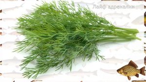 Добавьте щепотку этого в тесто для карася и клёв будет бешеный! Ароматизаторы для карася!