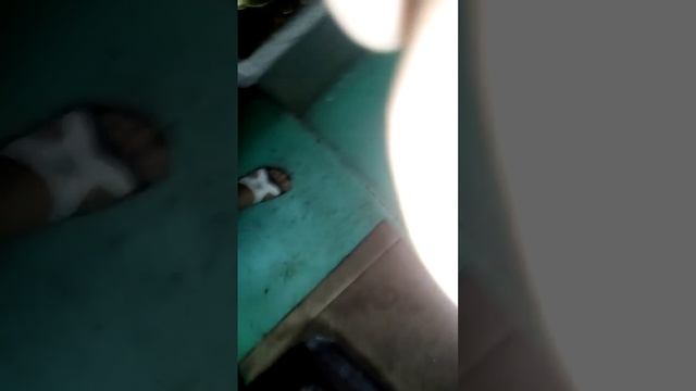 производство,изготовление крышки консервирвоной. смотреть онлайн