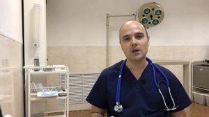 До какого возраста можно стерилизовать кошку