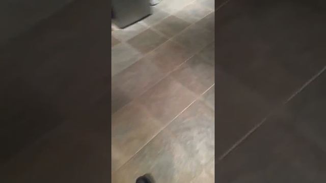 Let's Navigate My Dad's Anal Cavity on Camera!!! смотреть онлайн