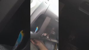 Toyota yaris вода в салоне от кондиционера