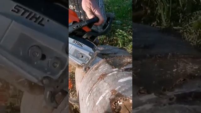 STIHL MS 362 în FAG.?.