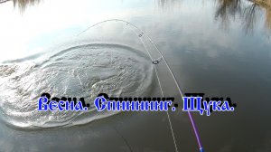 Весна. Спиннинг.Щука.mp4