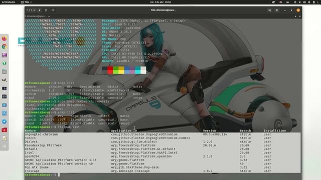 Como eliminar apps en formatos #Snap, #Flatpak y #AppImage en #Linux смотреть онлайн