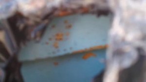 Защита от птиц ульев из ППУ Нижегородец