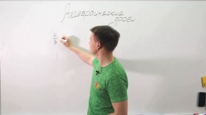 Алгебраические дроби. Видеоурок по алгебре за 8 класс.