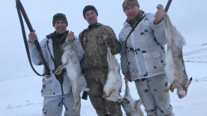 Охота на зайца в СаратовСкой Области Рекордный год или как прошёл сезон  Hare hunting