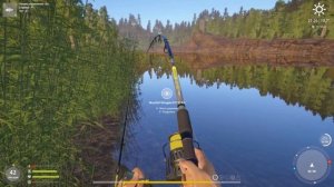 Русская рыбалка 4 / оз. Куори / голец арктический, налим и щука на живца