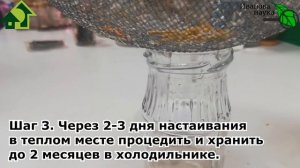 СИЛА ИВОВОЙ ВОДЫ! Как приготовить и использовать ивовую воду.