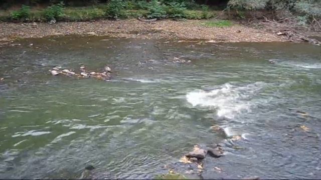 Ижевск. Река Иж смотреть онлайн