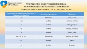 Род в Латинском Языке. Определение рода