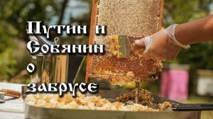 19.11.2020. ПУТИН И СОБЯНИН О ЗАБРУСЕ.