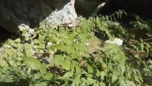 Шорский национальный парк! Сплав по реке Мрассу!