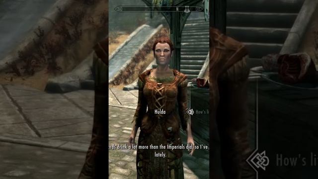 Difference between Stormcloaks and Imperials. Skyrim AE