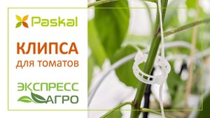 Клипсы для томатов Paskal