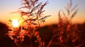 Судьба нам лишних не даёт.  Читает автор,  Марина Волнорезова.