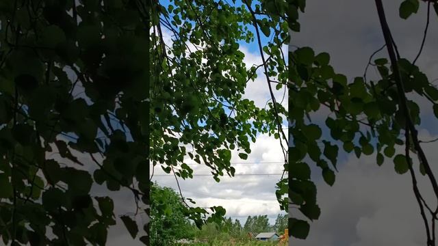 СТЕЛЕТСЯ ДОРОЖЕНЬКА ДАЛЬНЕЙ СТОРОНОЙ.