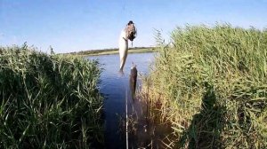 Карась клюёт ДУПЛЕТАМИ!!ЛОВЛЯ КАРАСЯ И КАРПА НА МОИ САМОДЕЛЬНЫЕ КОРМАЧКИ!!!