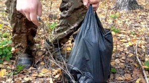 ЗА ГРИБАМИ В ПЕРВЫЙ РАЗ. НАБРАЛ КУЧУ БЕЛЫХ ГРИБОВ