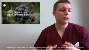 Левзея (Maral Root) ПОЛЬЗА ВРЕД СОВЕТЫ (Russian Leuzea)Side Effects Interactions Dosage