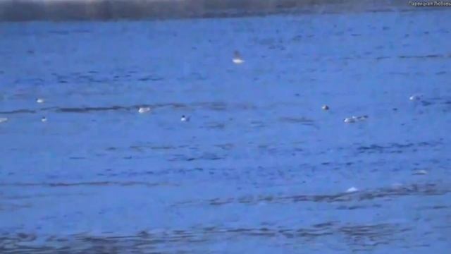 "Улыбайся, даже если слёзы капают," Красивые стихи. Стихи для души смотреть онлайн