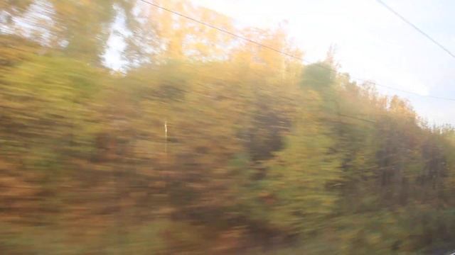 От Трудовой до станции Икша - сквозь осеннее буйство красок едем на электричке в Дмитров! смотреть онлайн