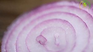 7+ Health Benefits of Onion // How to Get Rid of Onion Breath.