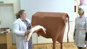 Тренажер симулятор по ветеринарии "Оказание акушерской помощи при патологических родах КРС