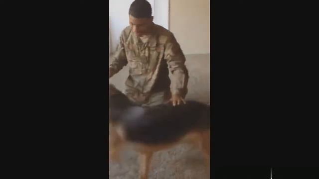 Солдаты возвращаются домой