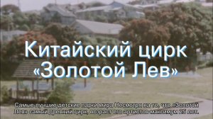 Самые лучшие цирки мира